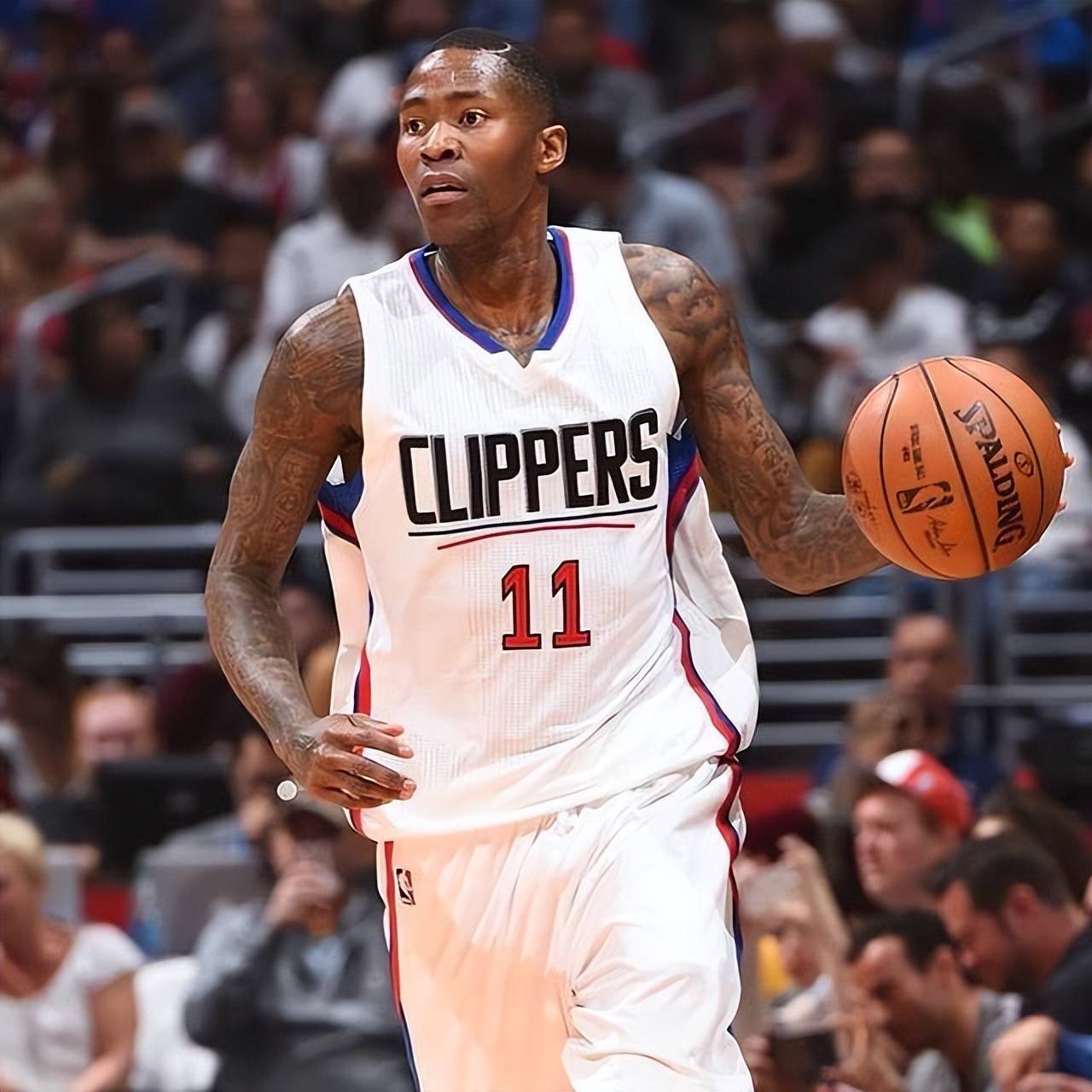 的训练中 的训练中