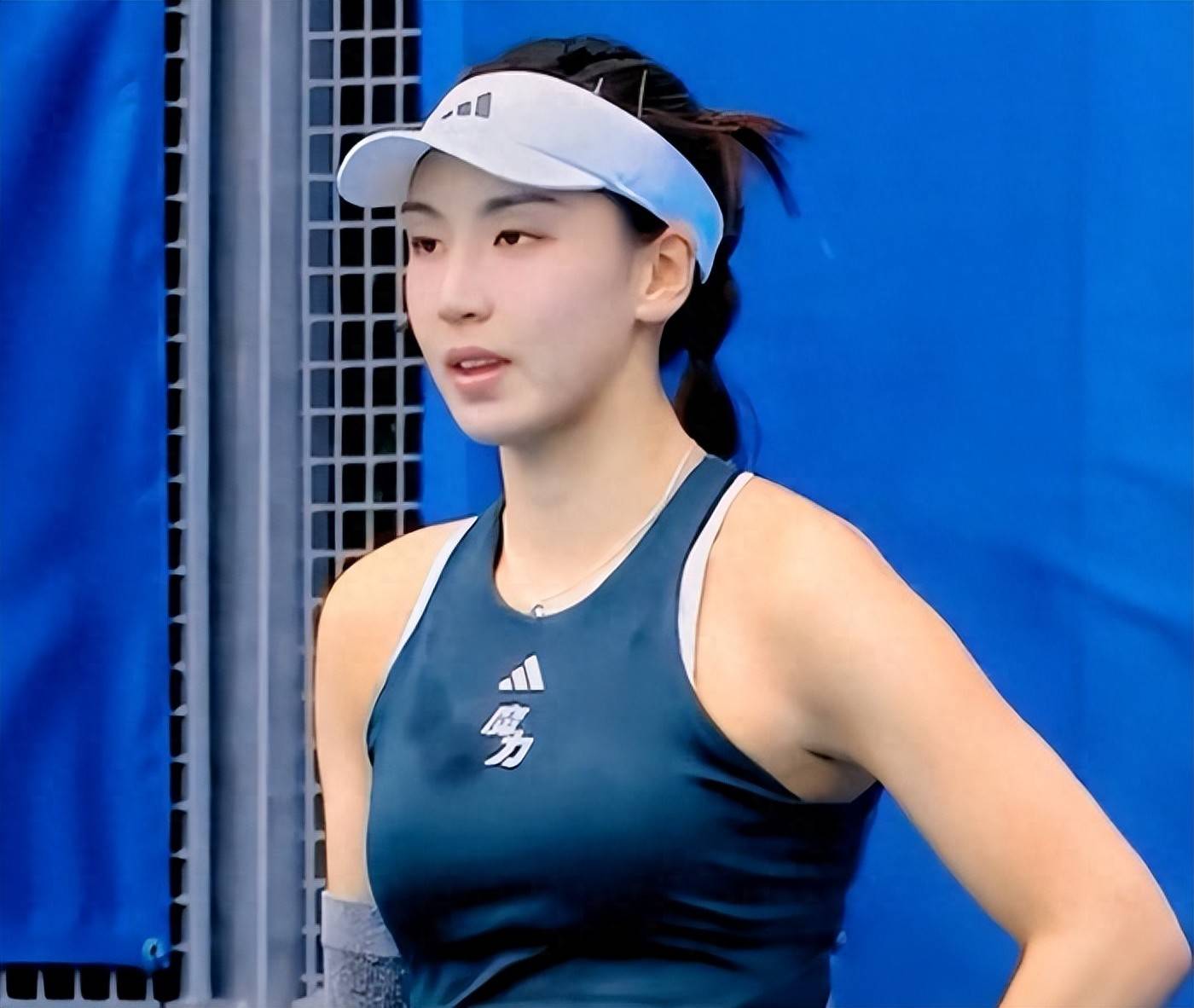 知名转会专 知名转会专