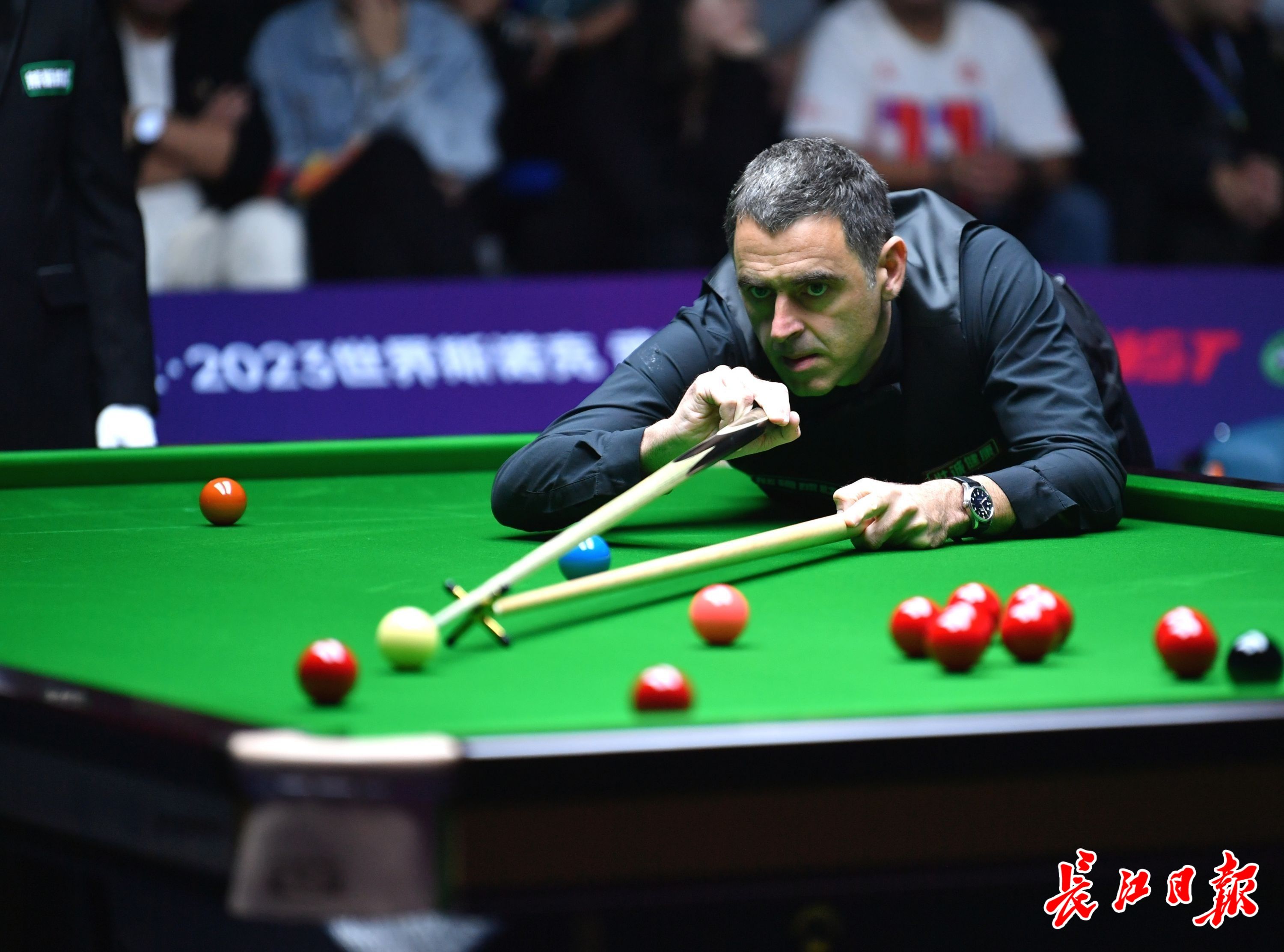 已与荷甲豪 已与荷甲豪