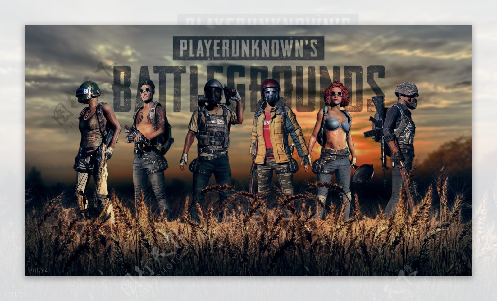 入了新的看 入了新的看